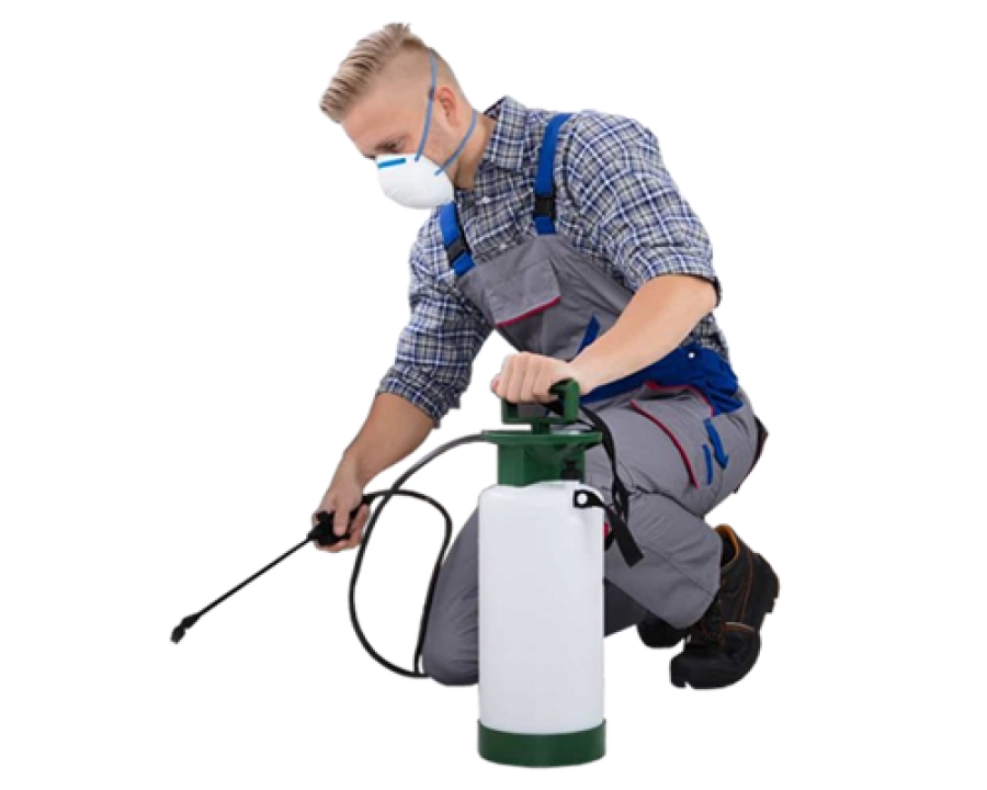 Dedetiza&ccedil;&atilde;o - Desinsetiza&ccedil;&atilde;o